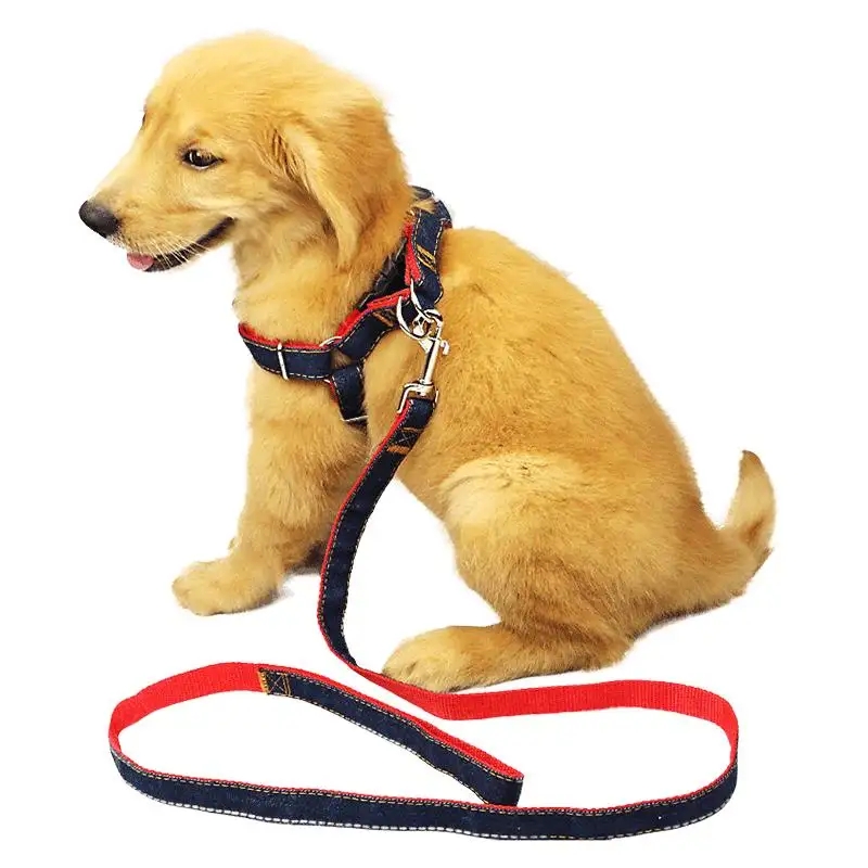 What Width and Thickness Specifications Best Match Different Pet Sizes for Polyester Webbing for Pet Traction?